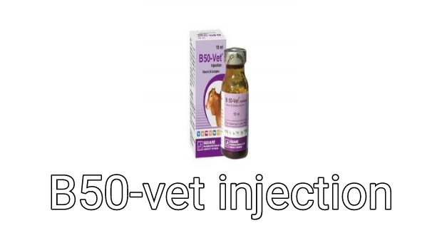 B50-vet injection the right rules for giving